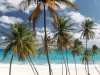 Kitespot auf Barbados